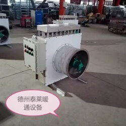 d20電熱暖風(fēng)機(jī)d60防爆暖風(fēng)機(jī)價(jià)格